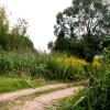 Wanderweg Biesenthal