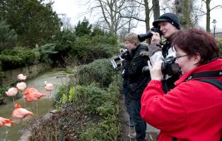 Die Fotogruppe im Zoo